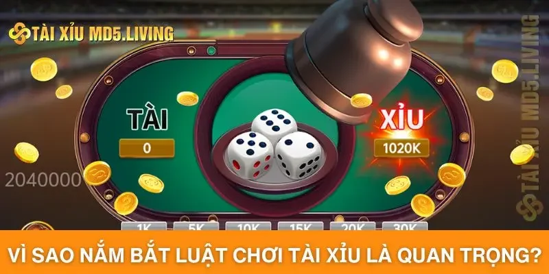 Vì sao nắm bắt luật chơi tài xỉu là quan trọng?