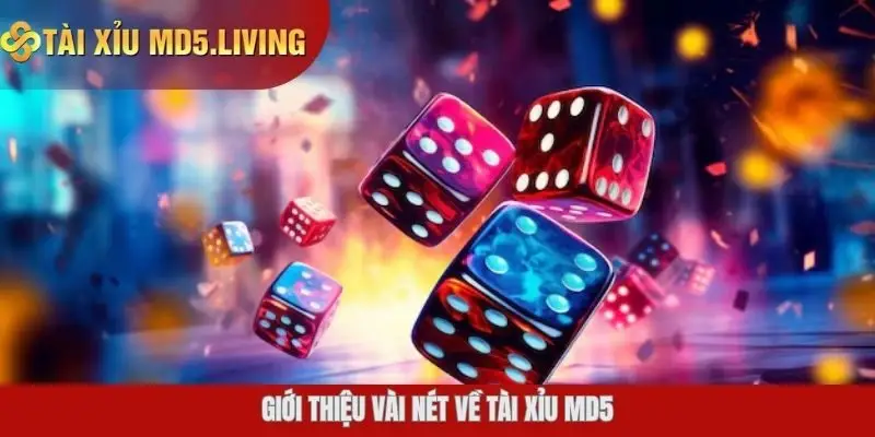 Giới thiệu vài nét về tài xỉu MD5