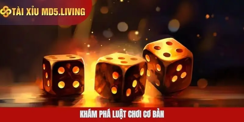 Khám phá luật chơi cơ bản