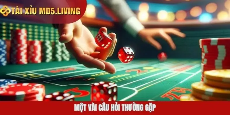 Một vài câu hỏi thường gặp