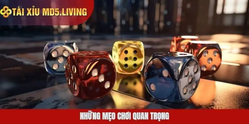 Những mẹo chơi quan trọng